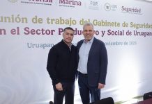 Disminución del 53% en homicidio doloso muestra efectividad del Plan Michoacán