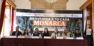 76 Legislatura fortalece acciones en pro de la conservación y cuidado de santuarios de la mariposa monarca