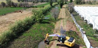 Se retirarán 240 mil metros cúbicos de azolve del lago de Pátzcuaro en 2026: Rogelio Zarazúa