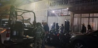 SSP y Defensa desactivan palenque clandestino en Zamora