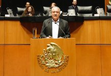 Senado aprueba por unanimidad reforma de Raúl Morón para transformar las bibliotecas en espacios incluyentes y plurilingües