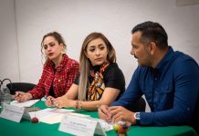 Analizan en Comisión de Juventud y Deporte la glosa del Cuarto Informe en materia deportiva: Grecia Aguilar