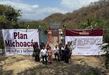 Con inversión de 2.1 mdp, Conagua asegura el riego de casi 7 mil hectáreas en Lázaro Cárdenas