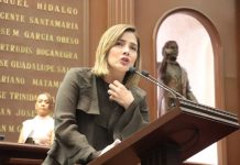 Diputada Brissa Arroyo plantea reformas a la Ley de Salud para impulsar en el estado el “Código Mariposa”