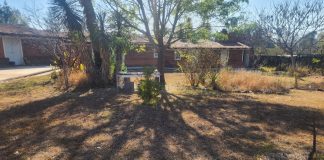 Yarabi: Entre el reflector y la sombra. El caso del Herbario