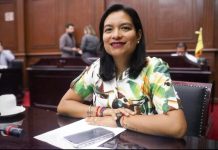 Eréndira Isauro propone regular propaganda digital electoral