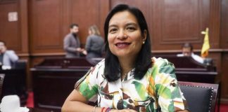 Eréndira Isauro propone regular propaganda digital electoral