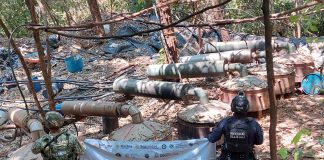 En operativo interinstitucional, SSP desactiva laboratorio de droga en Arteaga