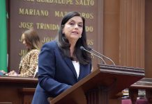 Impulsa diputada Tere Herrera reforma para prevenir muertes neonatales en Michoacán