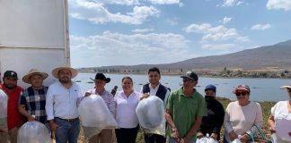 Entrega de crías de tilapia fortalece la producción Acuícola: Belinda Iturbide