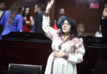 Vanhe Caratachea presenta iniciativa para proteger de violencia de género a madres jefas de familia