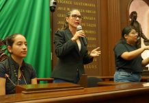 Recibe Congreso más de 90 propuestas para el Parlamento con Perspectiva de Discapacidad: Nalleli Pedraza