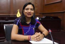 Propone Erendira Isauro reforma para frenar propaganda electoral pagada por terceros en Michoacán