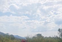 El lago de Pátzcuaro recobra vida; en 2026 se han descubierto 18 manantiales