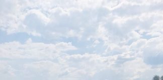 El lago de Pátzcuaro recobra vida; en 2026 se han descubierto 18 manantiales