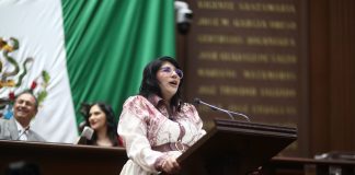 Que niñas, niños y adolescentes mantengan contacto con seres queridos que no tengan la custodia: Vanhe Caratachea