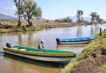Hallazgo de tres nuevos manantiales consolidan rescate del lago de Pátzcuaro: Bedolla