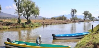 Hallazgo de tres nuevos manantiales consolidan rescate del lago de Pátzcuaro: Bedolla
