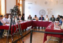 Reforma electoral debe hacerse en consenso y diálogo democrático: Diana Espinoza