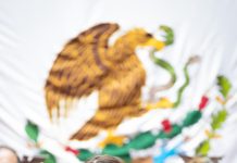 Giulianna Bugarini propone reforma que frene decisiones ambientales irresponsables