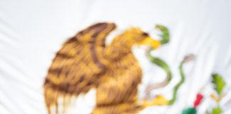 Giulianna Bugarini propone reforma que frene decisiones ambientales irresponsables