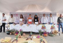 IEM y Consejo Supremo Indígena impulsan diálogo sobre autogobierno en Michoacán