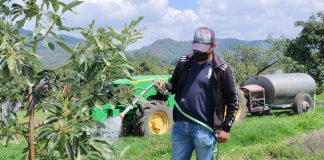 Apoyados en Michoacán más de 88 mil productores del campo: Bedolla