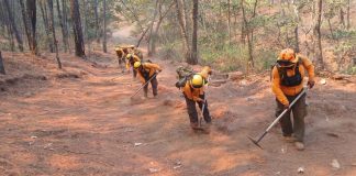 Controlado al 100% incendio en Nuevo Urecho