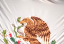 Aplaude Belinda Iturbide aprobación de Ley de Transparencia