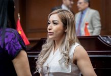 Movimiento Ciudadano a favor de que se eliminen privilegios, se frenen derroches y gasto público: Grecia Aguilar