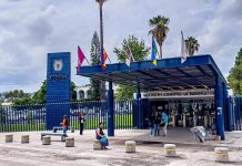 La rectora no es víctima: es autora del desastre