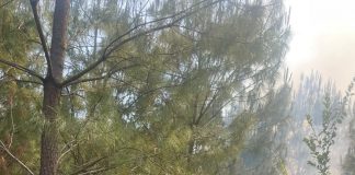 Incendio forestal en el Cerro del Estribo controlado en un 80%