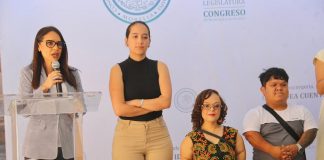Nalleli Pedraza pide al Congreso local presentar iniciativa al Congreso de la Unión para garantizar gratuidad de medicamentos huérfanos a niñas y niños con enfermedades raras