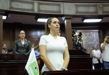 Endurecer penas por tala ilegal y devastación forestal en Michoacán, propone diputada Sandra Arreola