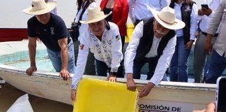 Gobierno estatal libera 40 mil crías de pez blanco para el rescate del Lago de Pátzcuaro