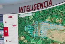 Certificación «ProForest Avocado»: El sello satelital que exigen 50 organizaciones en EE. UU.
