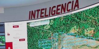 Certificación «ProForest Avocado»: El sello satelital que exigen 50 organizaciones en EE. UU.