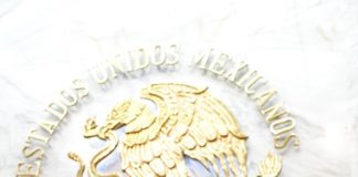 Necesario brindar acompañamiento integral a personas con enfermedades raras y discapacitantes: diputada Tere Herrera