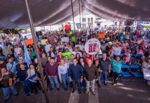 Unidad de la 4T, clave para defender la soberanía ante las presiones de la derecha: Torres Piña