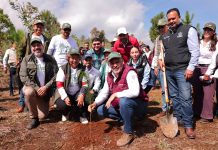 Michoacán referente en cuidado ambiental; plantarán 2.5 millones de árboles en la cuenca del lago de Pátzcuaro: Bedolla