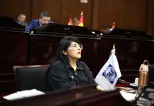 Vanhe Caratachea propone crear un registro de agresores sexuales de niñas, niños y adolescentes