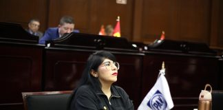 Vanhe Caratachea propone crear un registro de agresores sexuales de niñas, niños y adolescentes