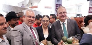Michoacán consolida su liderazgo agrícola nacional, aporta el 28.2% de las exportaciones: Bedolla