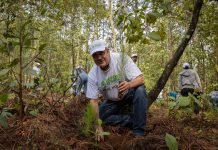 Medio ambiente, deporte y cultura, trascendentales para la transformación de Michoacán