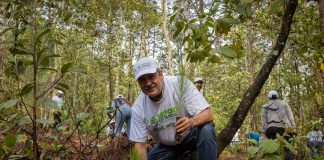 Medio ambiente, deporte y cultura, trascendentales para la transformación de Michoacán