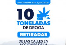SSP asegura 10 toneladas de droga en 8 meses