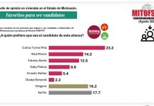 Es Torres Piña en Michoacán; Mitofsky lo coloca con amplia ventaja rumbo a la definición de la 4T