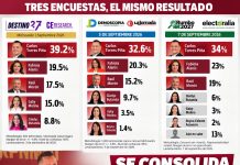 Torres Piña afianza liderazgo: tres nuevas encuestas lo confirman como puntero rumbo al 2027